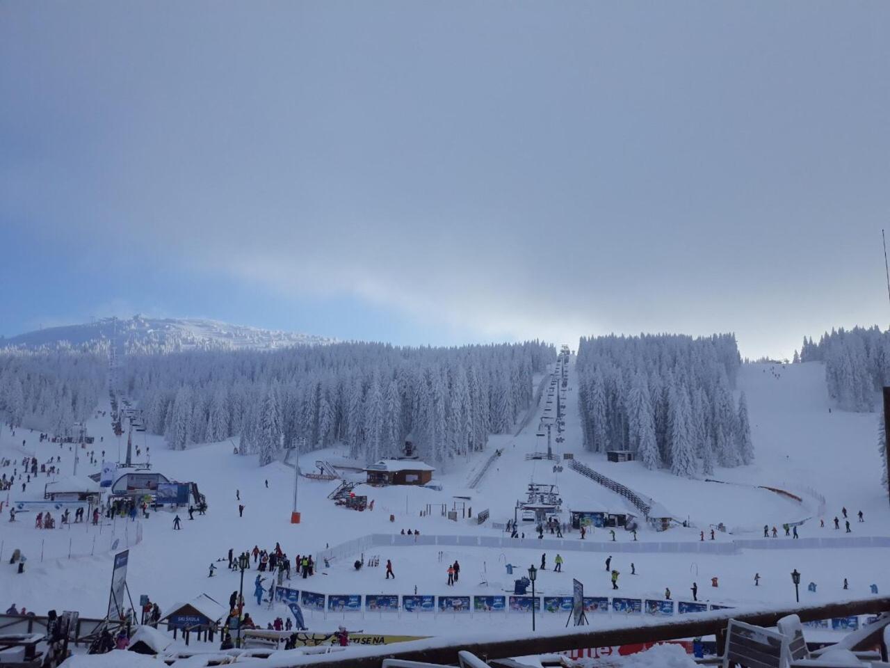 Holiday Home Elena Kopaonik Eksteriør billede