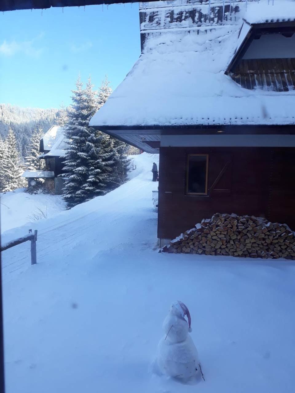 Holiday Home Elena Kopaonik Eksteriør billede